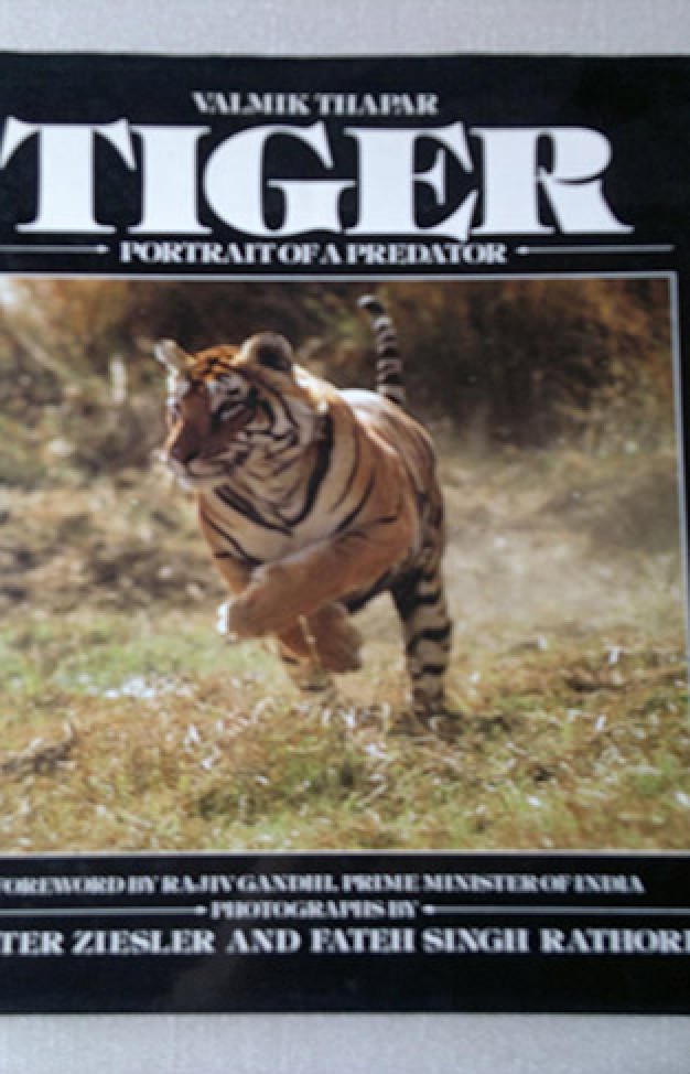 Tiger: Portrait of a Predator Tiger: Portrait of a Predator